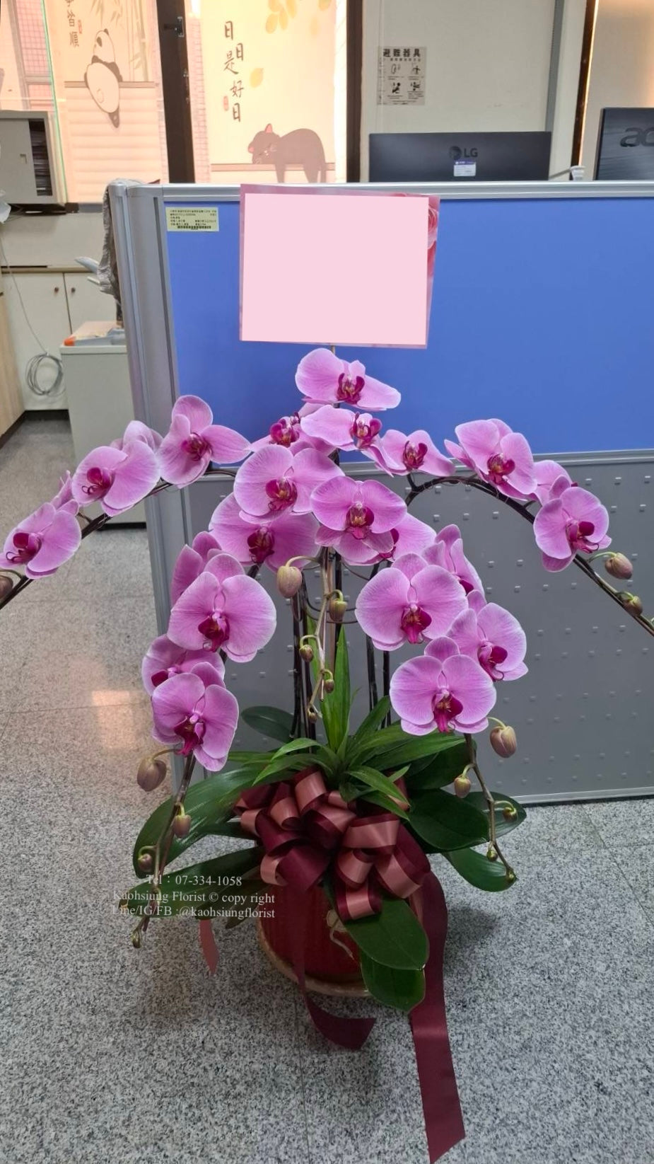 Orchid – 5 (Tabletop, Light Pink)