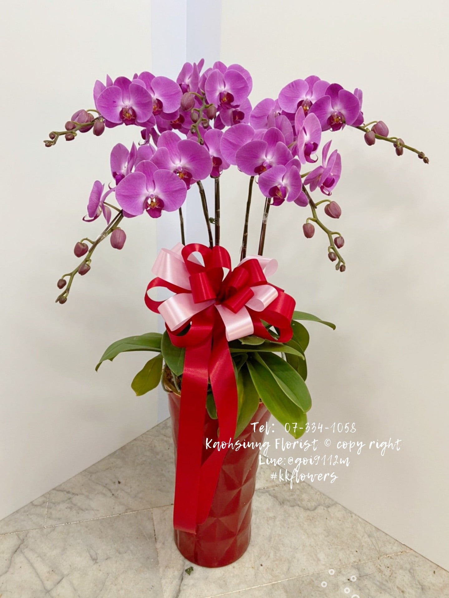 Orchid – 5 (Floor Standing, Light Pink)