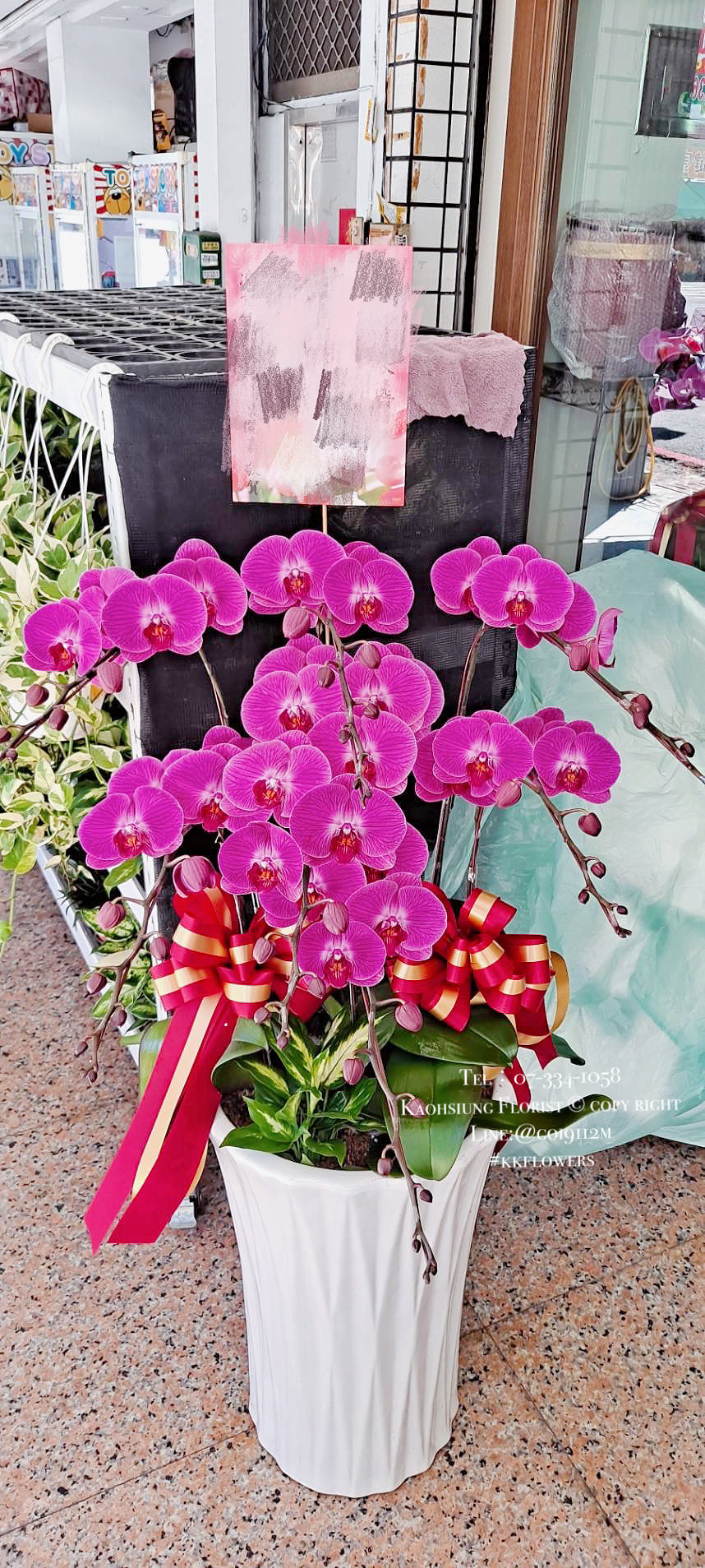 Orchid – 6 (Floor Standing, Pink)