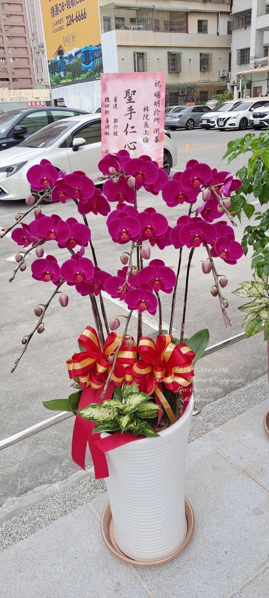 Orchid – 6 (Floor Standing, Pink)