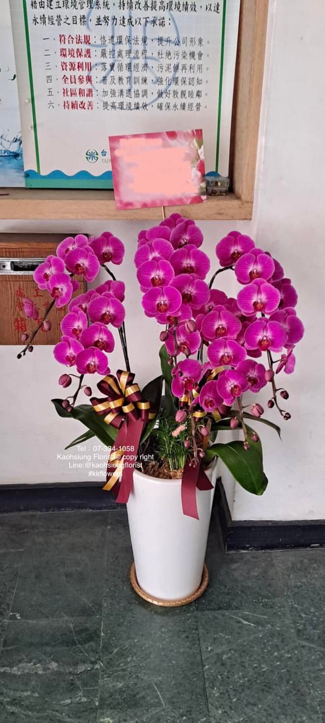 Orchid – 6 (Floor Standing, Pink)