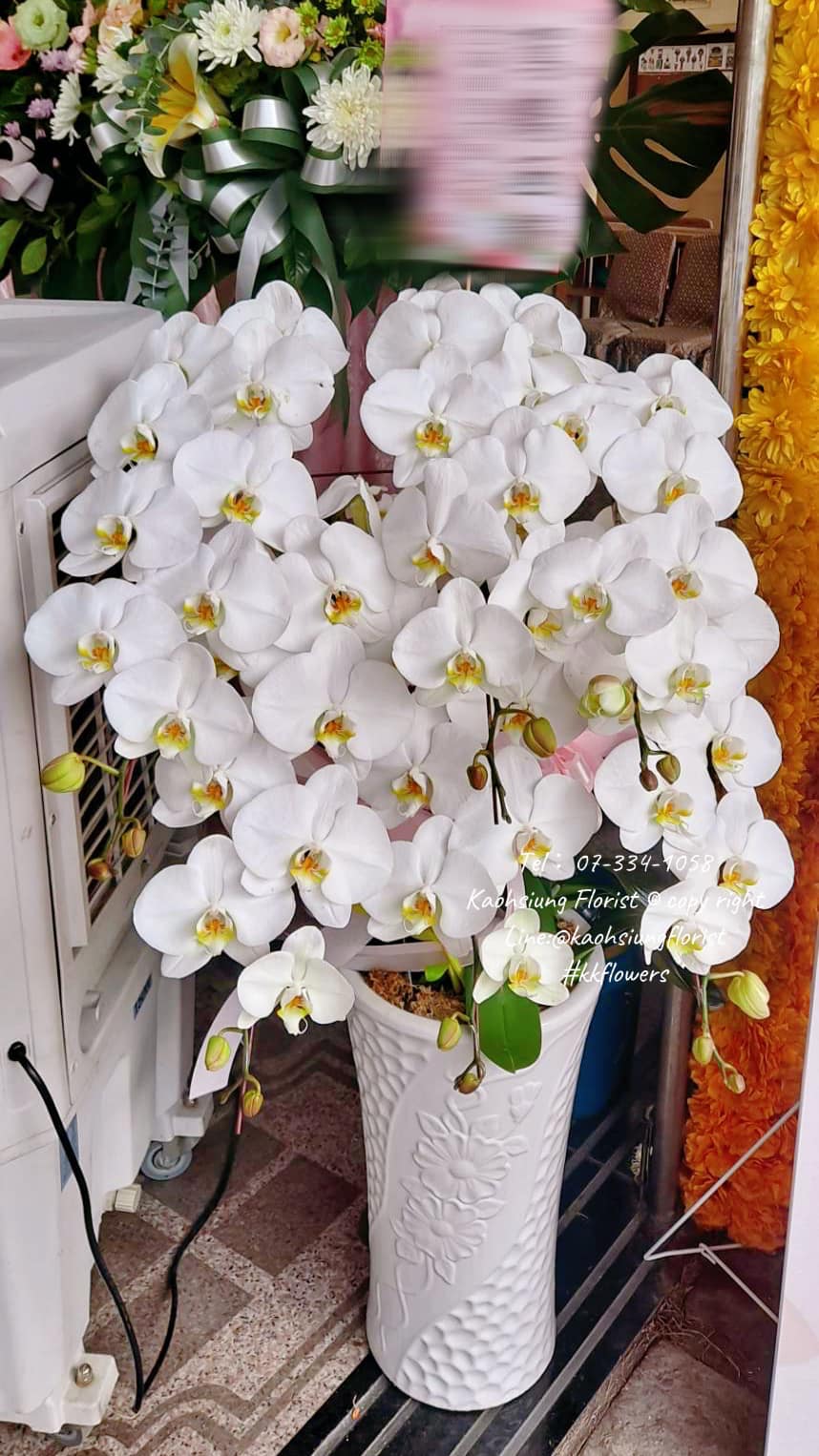 Orchid – 6 (Floor Standing, White)