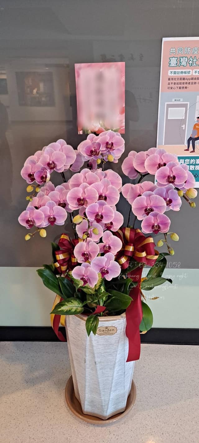 Orchid – 7 (Floor Standing, Light Pink)