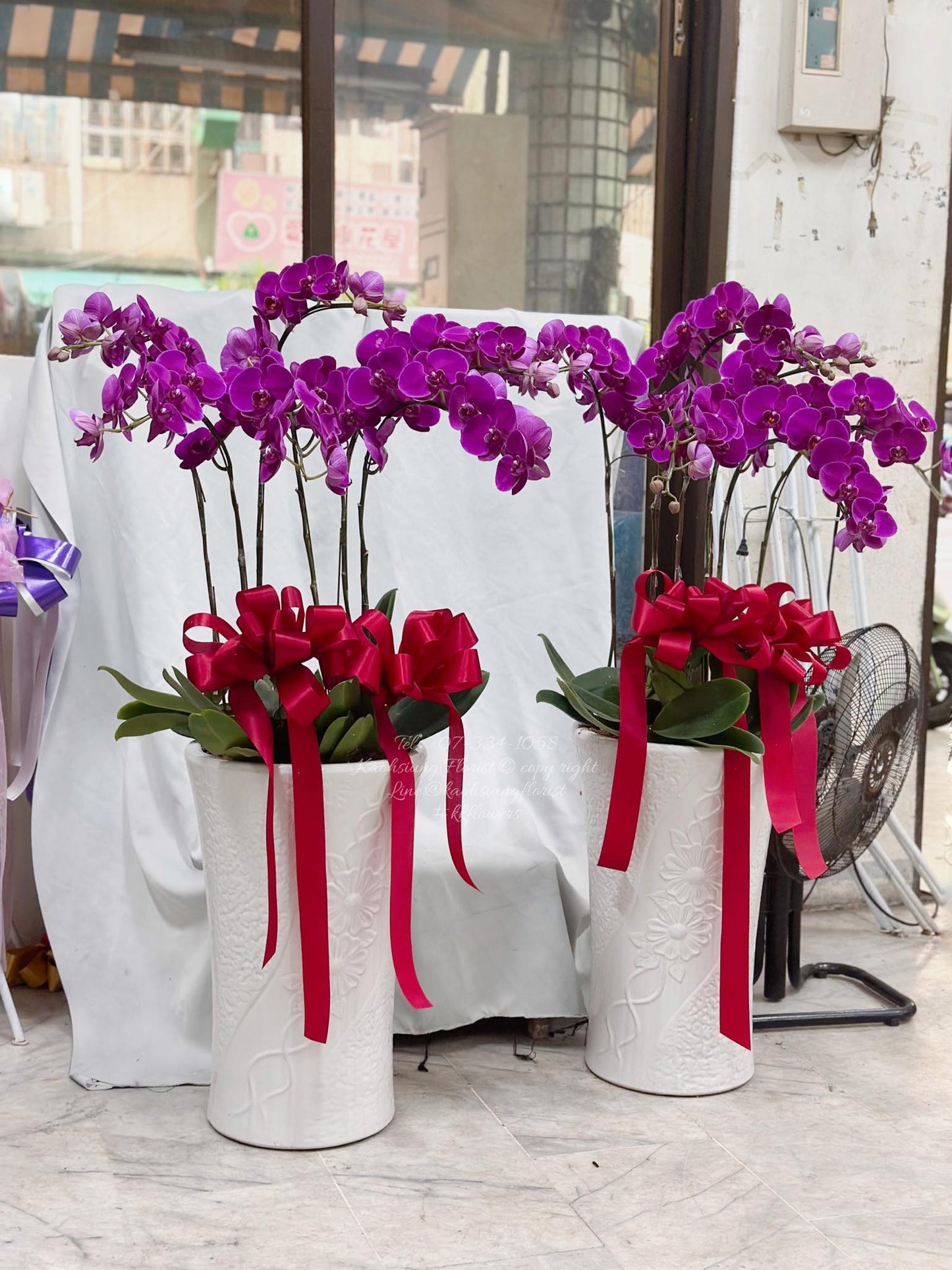 Orchid – 6 (Floor Standing, Pink)