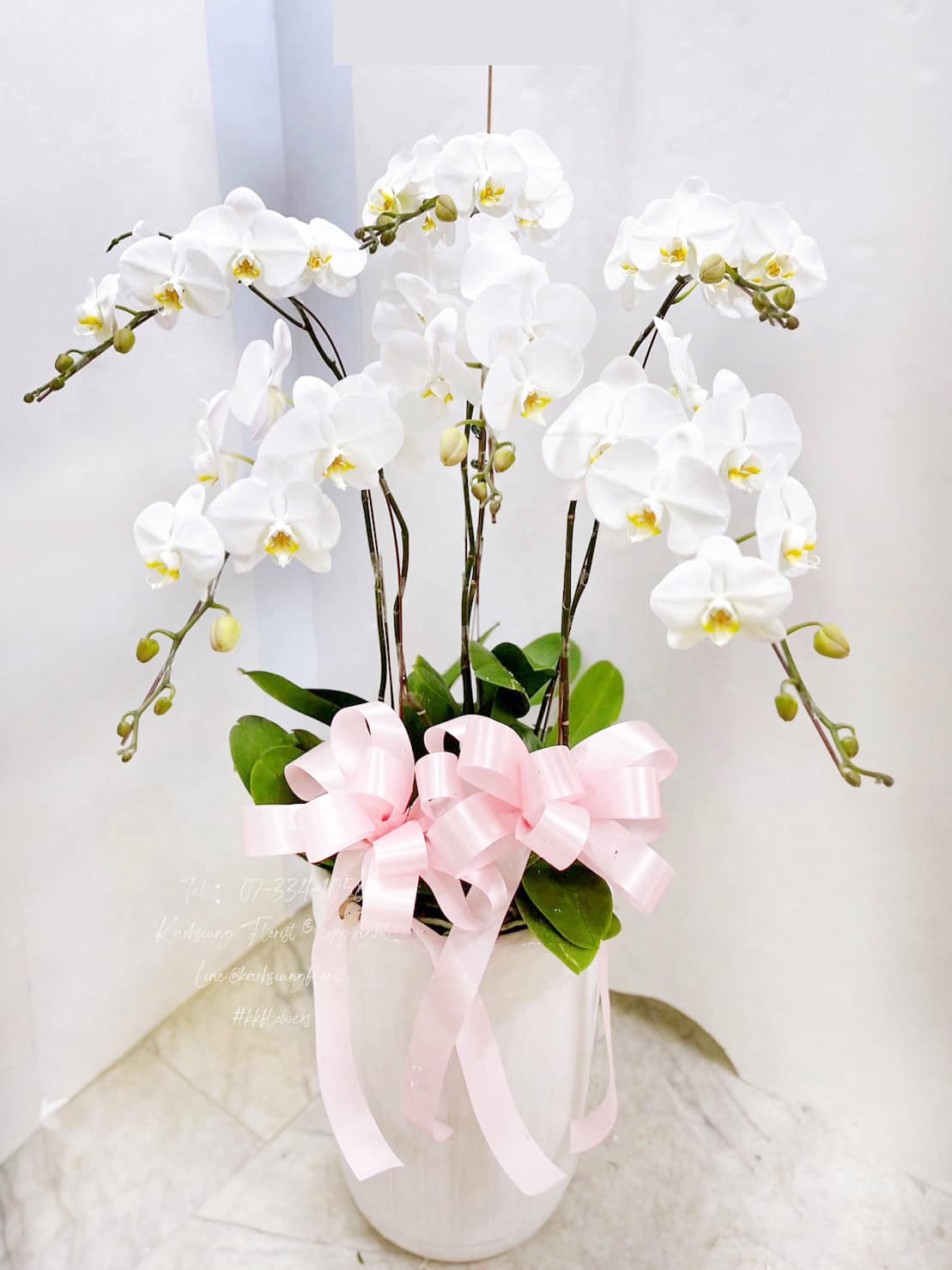 Orchid – 6 (Floor Standing, White)