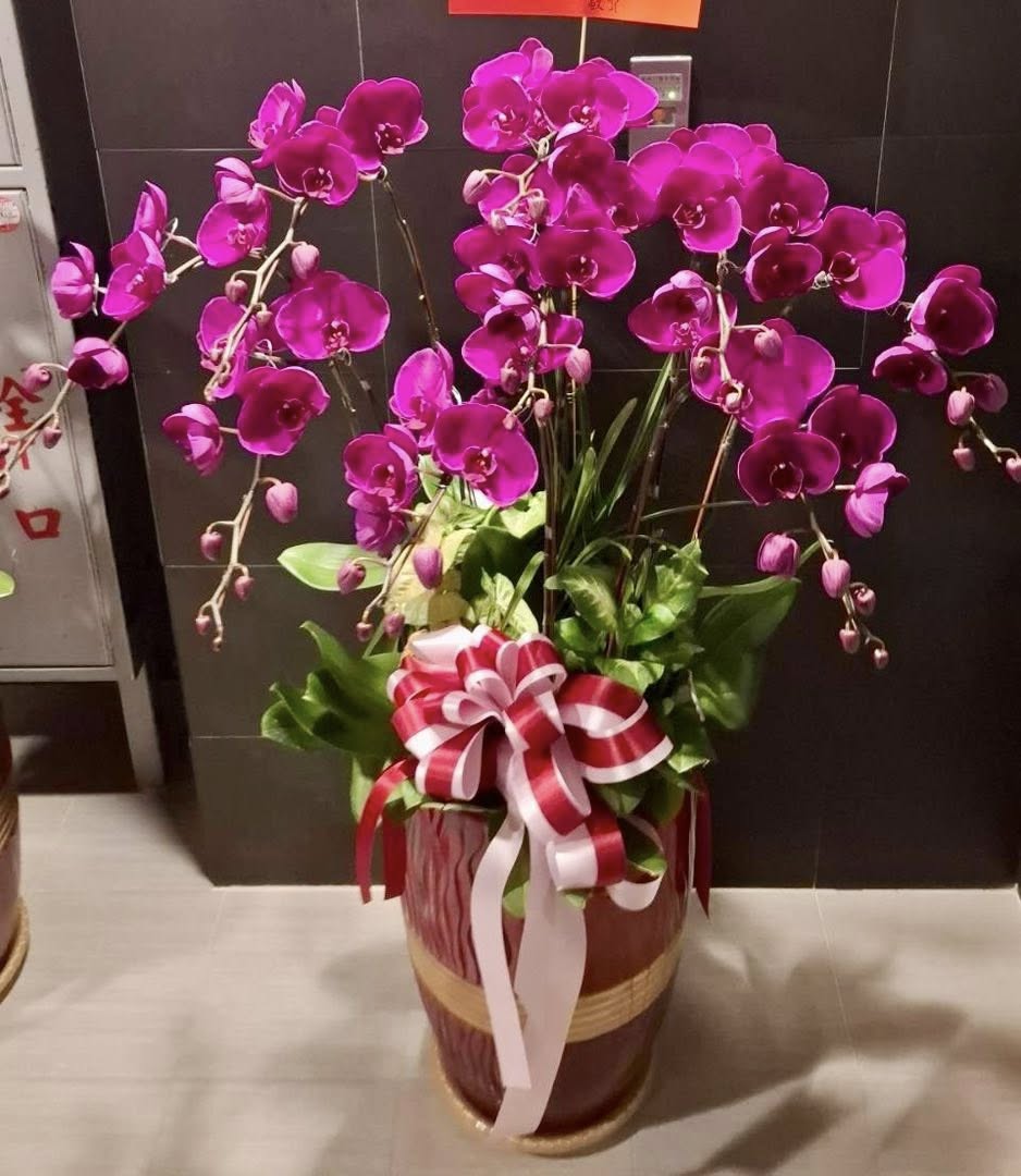 Orchid – 6 (Floor Standing, Pink)