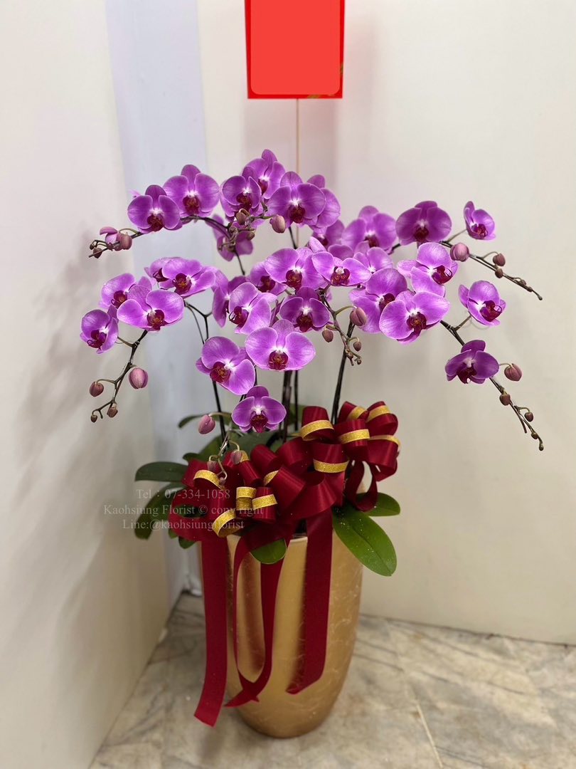 Orchid – 7 (Floor Standing, Light Pink)
