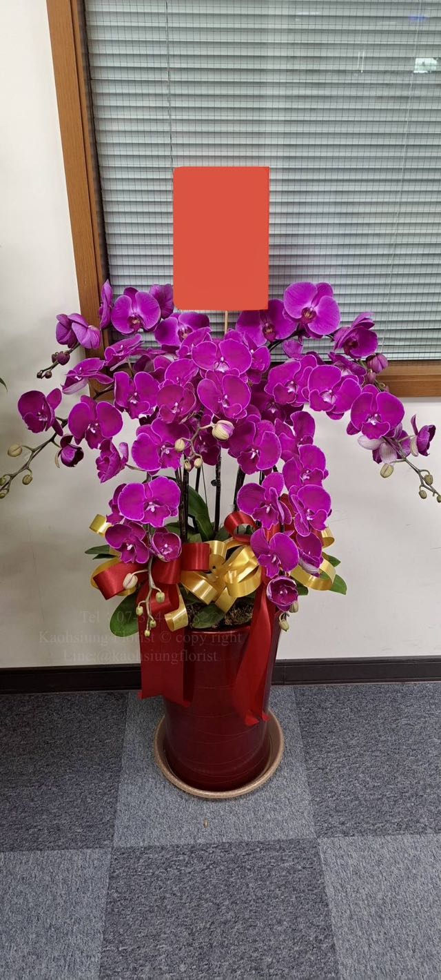 Orchid – 6 (Floor Standing, Pink)