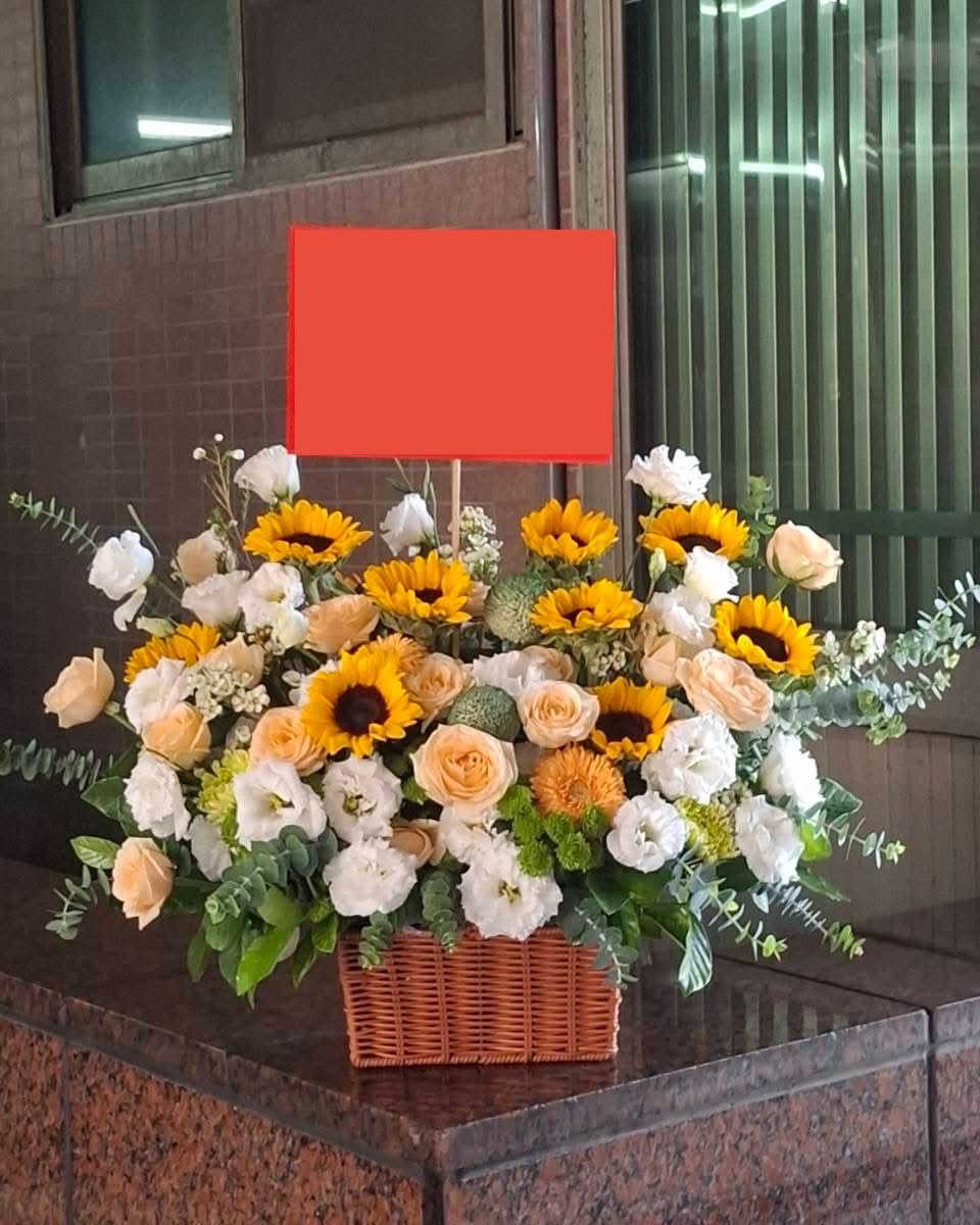 盆花 - 向陽而生,為你盛開