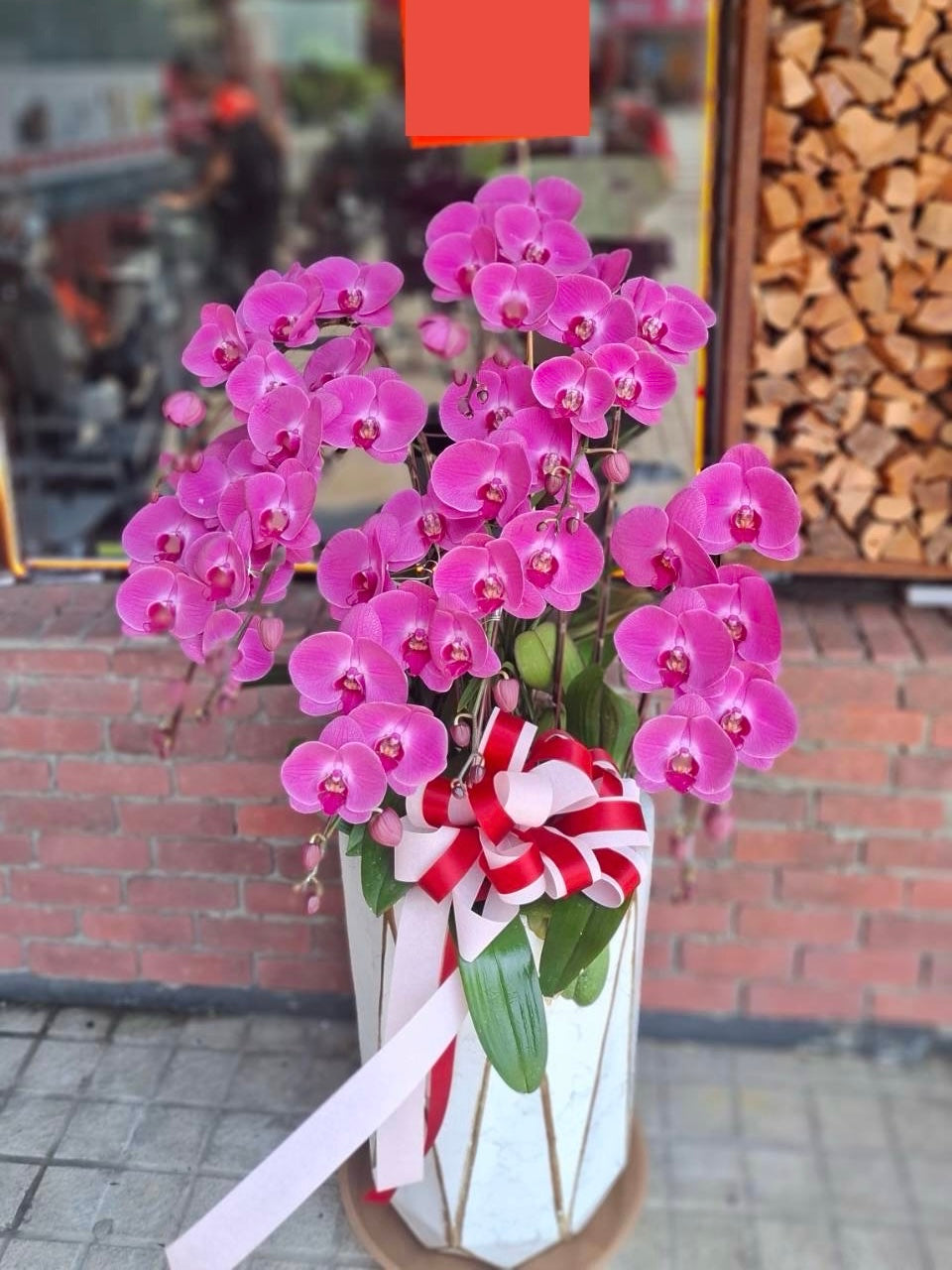 Orchid – 7 (Floor Standing, Pink)