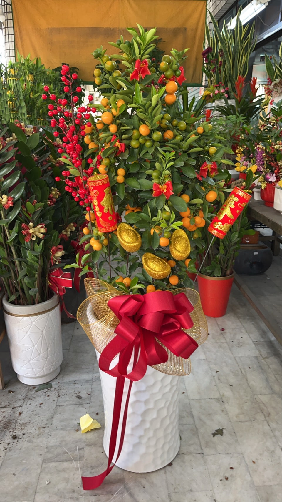 Standing Kumquat Tree – Golden Fortune & Blessings