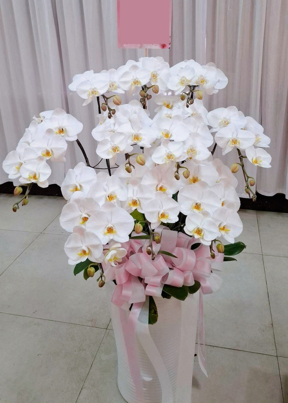 Orchid – 10 (Floor Standing, White)