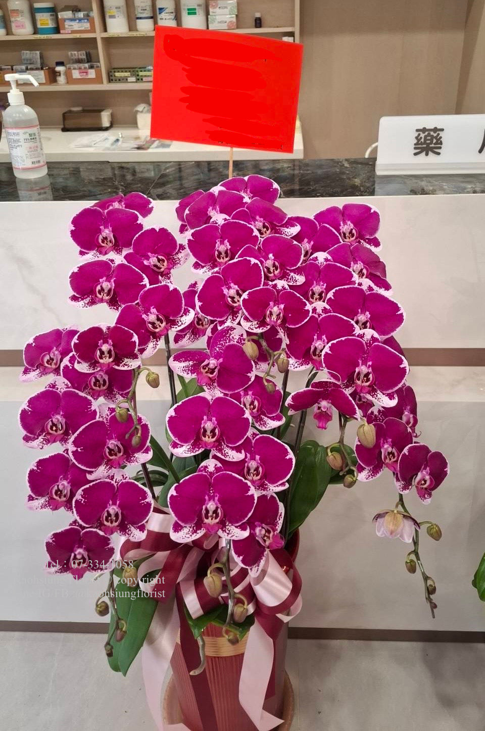 Orchid – 6 (Floor Standing, Pink)