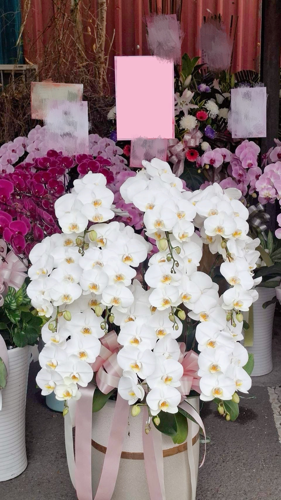 Orchid – 10 (Floor Standing, White)