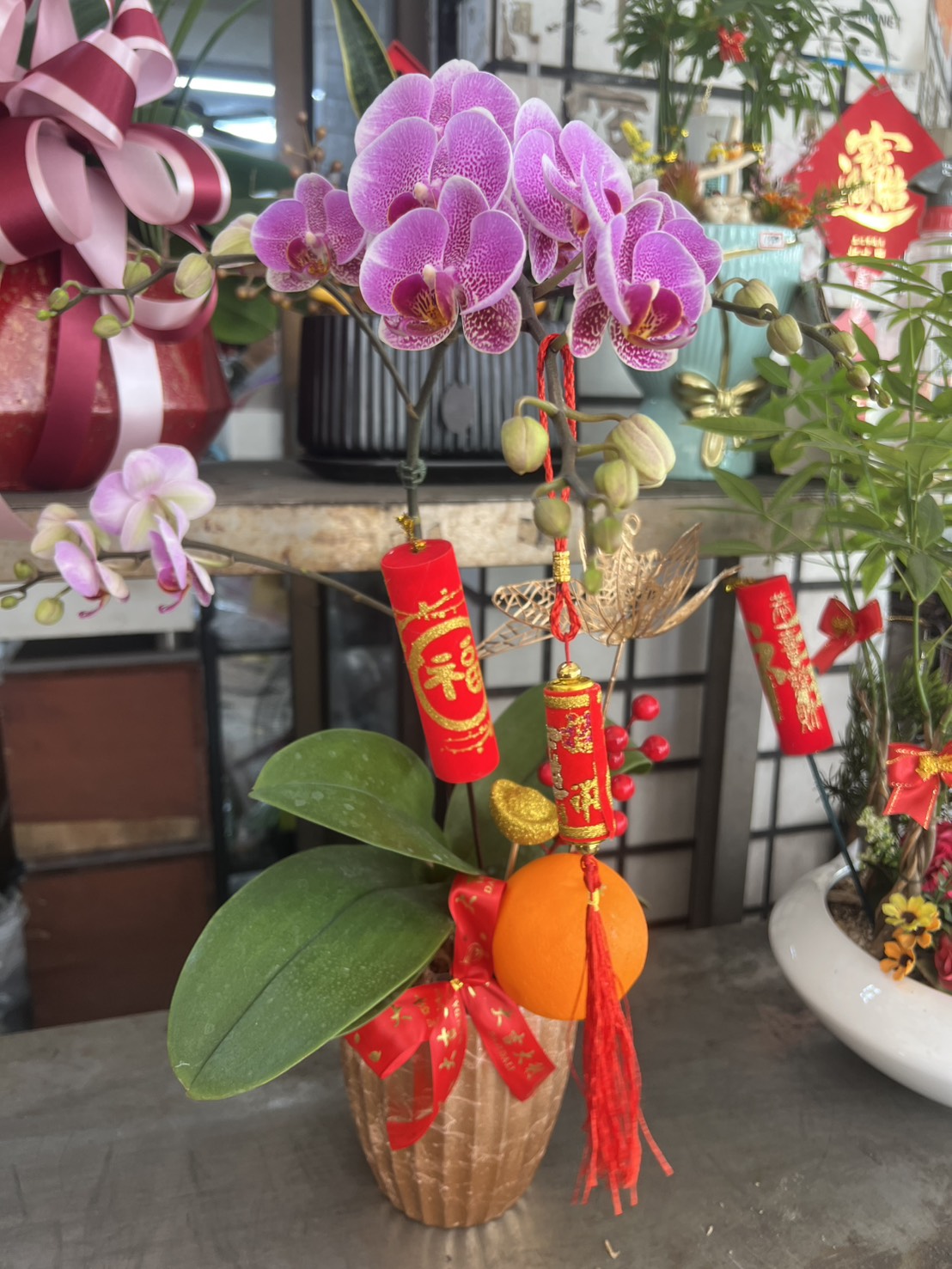 新年蘭花 - 單株(粉)