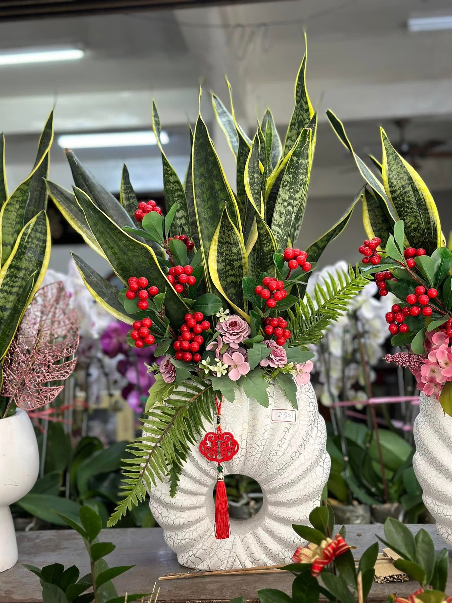 植物