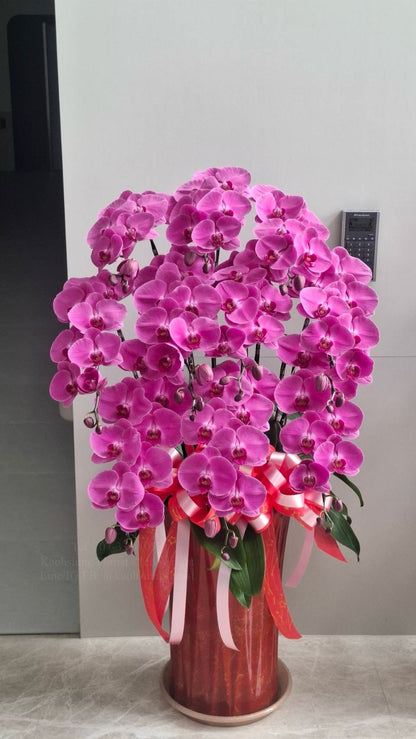 Orchid – 10 (Floor Standing,  Pink)