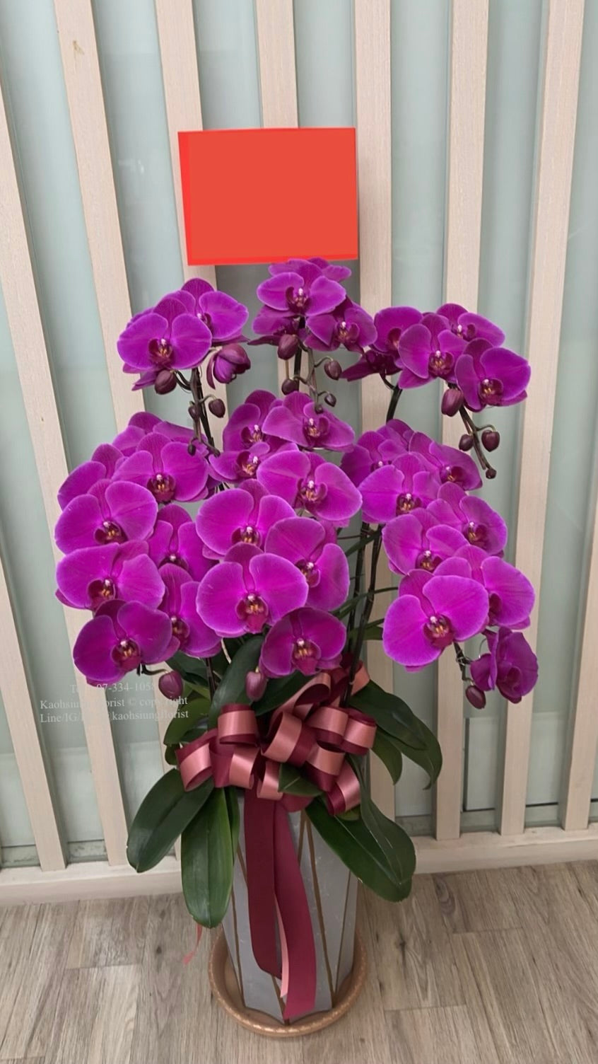 Orchid – 6 (Floor Standing, Pink)