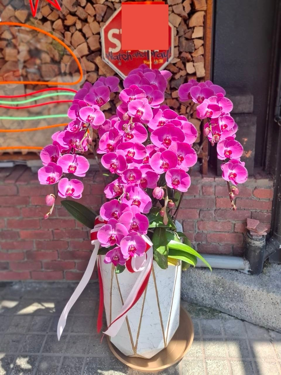 Orchid – 7 (Floor Standing,  Pink)
