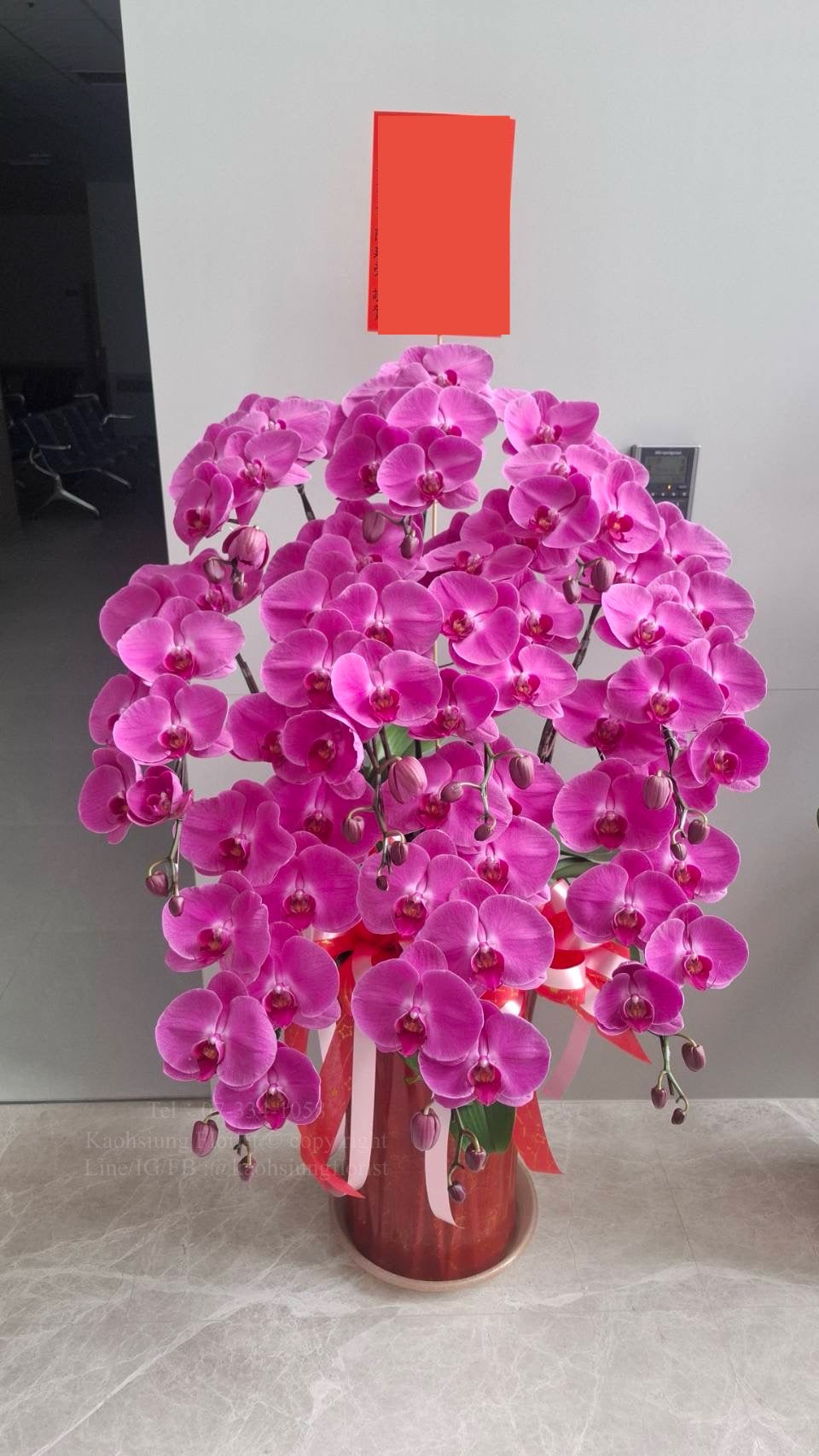 Orchid – 10 (Floor Standing,  Pink)