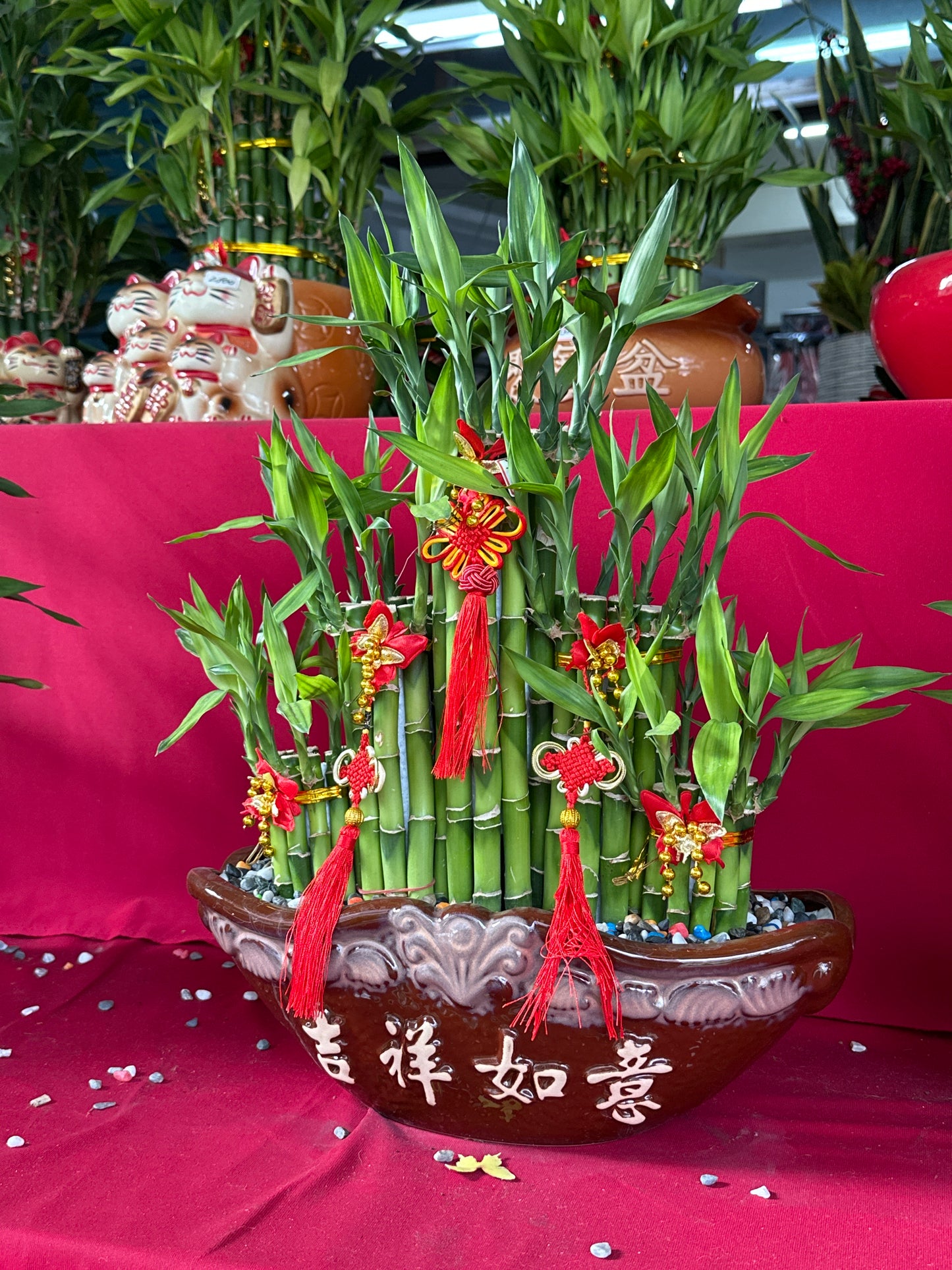 開運竹 - 中型船吉祥如意