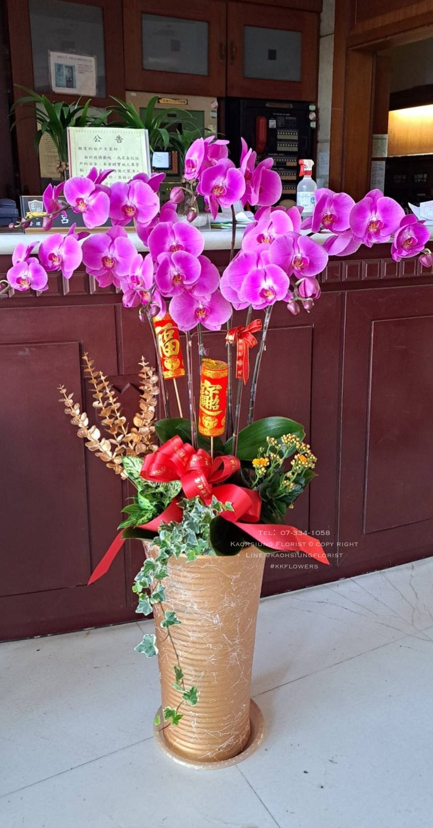 蘭花六株落地款 - 桃紅色