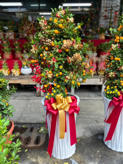 Standing Kumquat Tree – Golden Fortune & Blessings