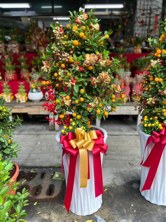 Standing Kumquat Tree – Golden Fortune & Blessings