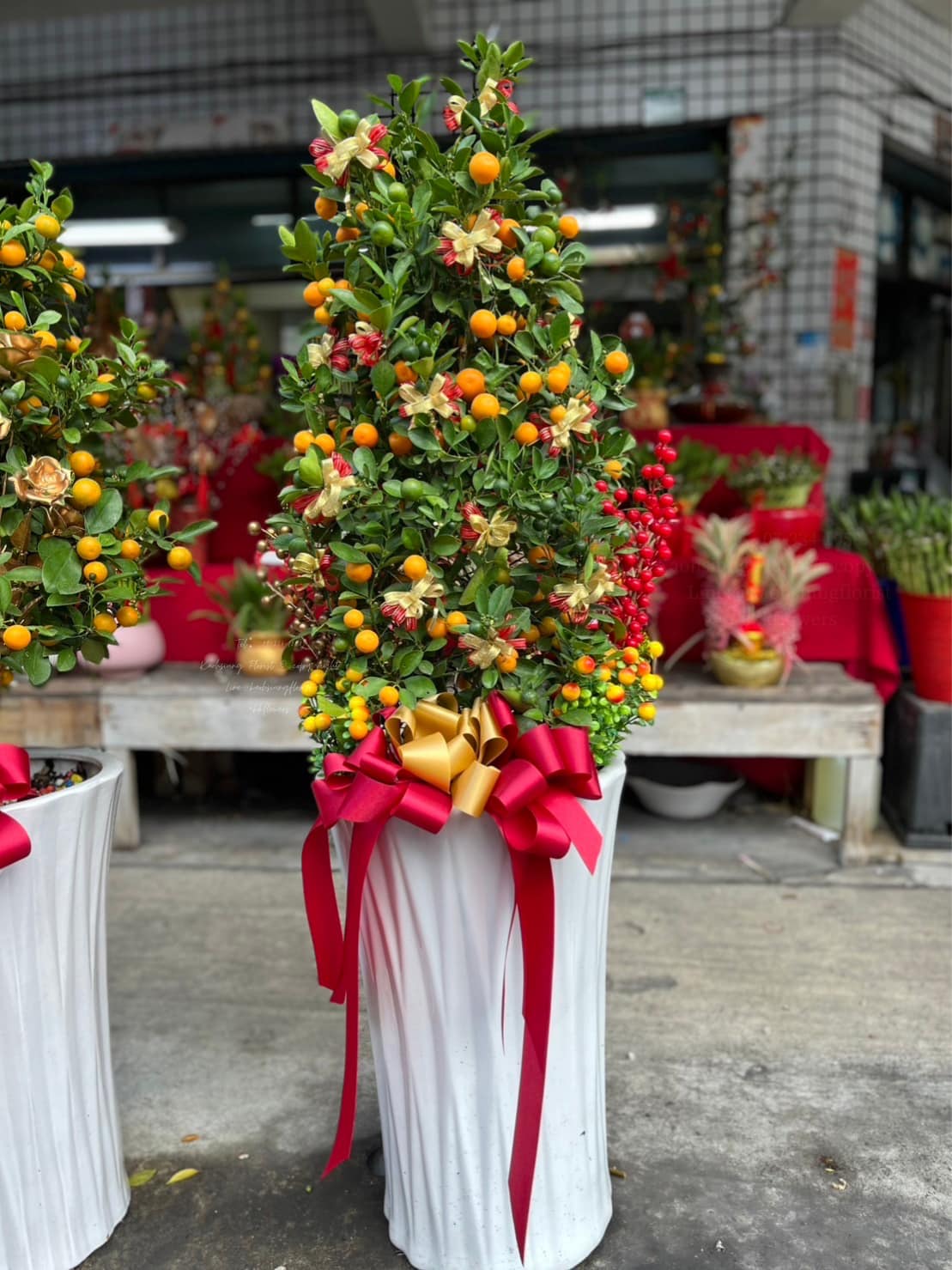 Standing Kumquat Tree – Golden Fortune & Blessings