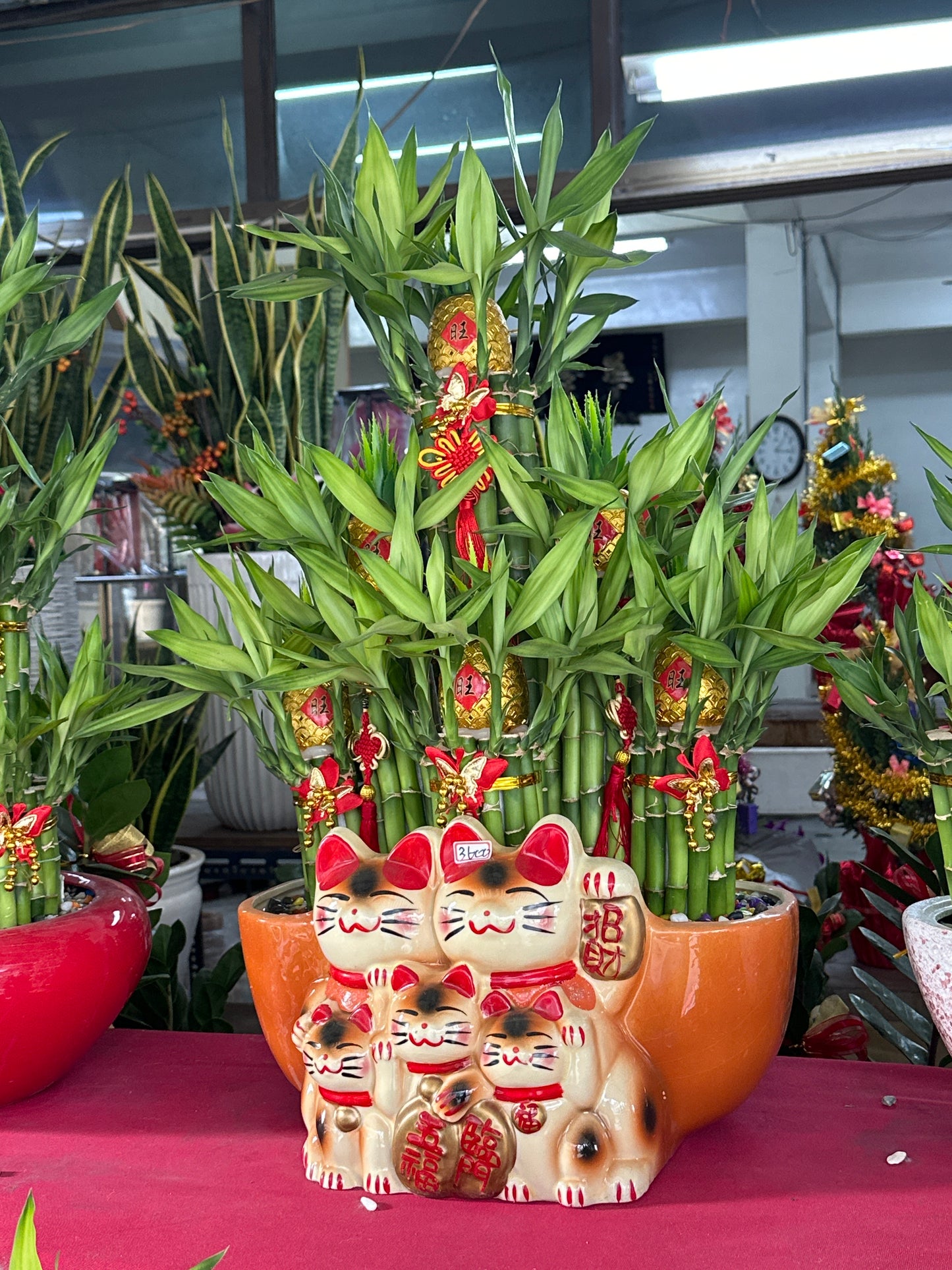 Lucky Bamboo - Large Five Fortune Cat