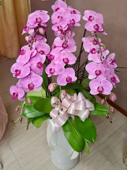Orchid – 6 (Floor Standing, Light Pink)