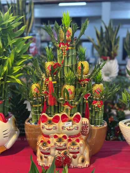 Lucky Bamboo - Large Five Fortune Cat