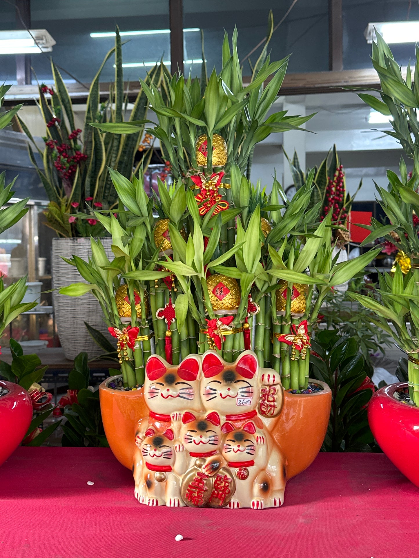 Lucky Bamboo - Large Five Fortune Cat