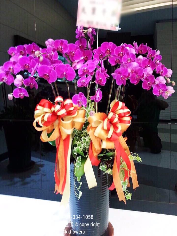 蘭花十二株落地款 - 桃紅色