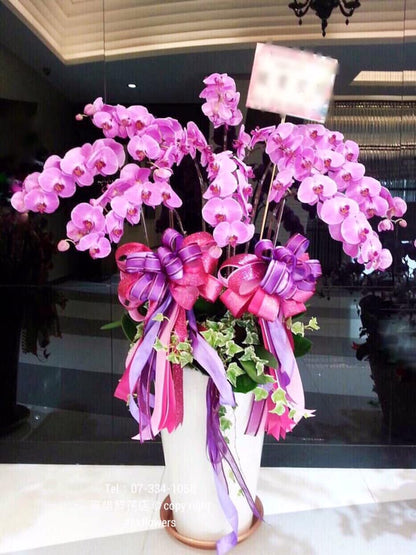 Orchid – 8 (Floor Standing, Light Pink)