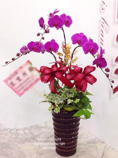 Orchid – 3 (Floor Standing, Pink)