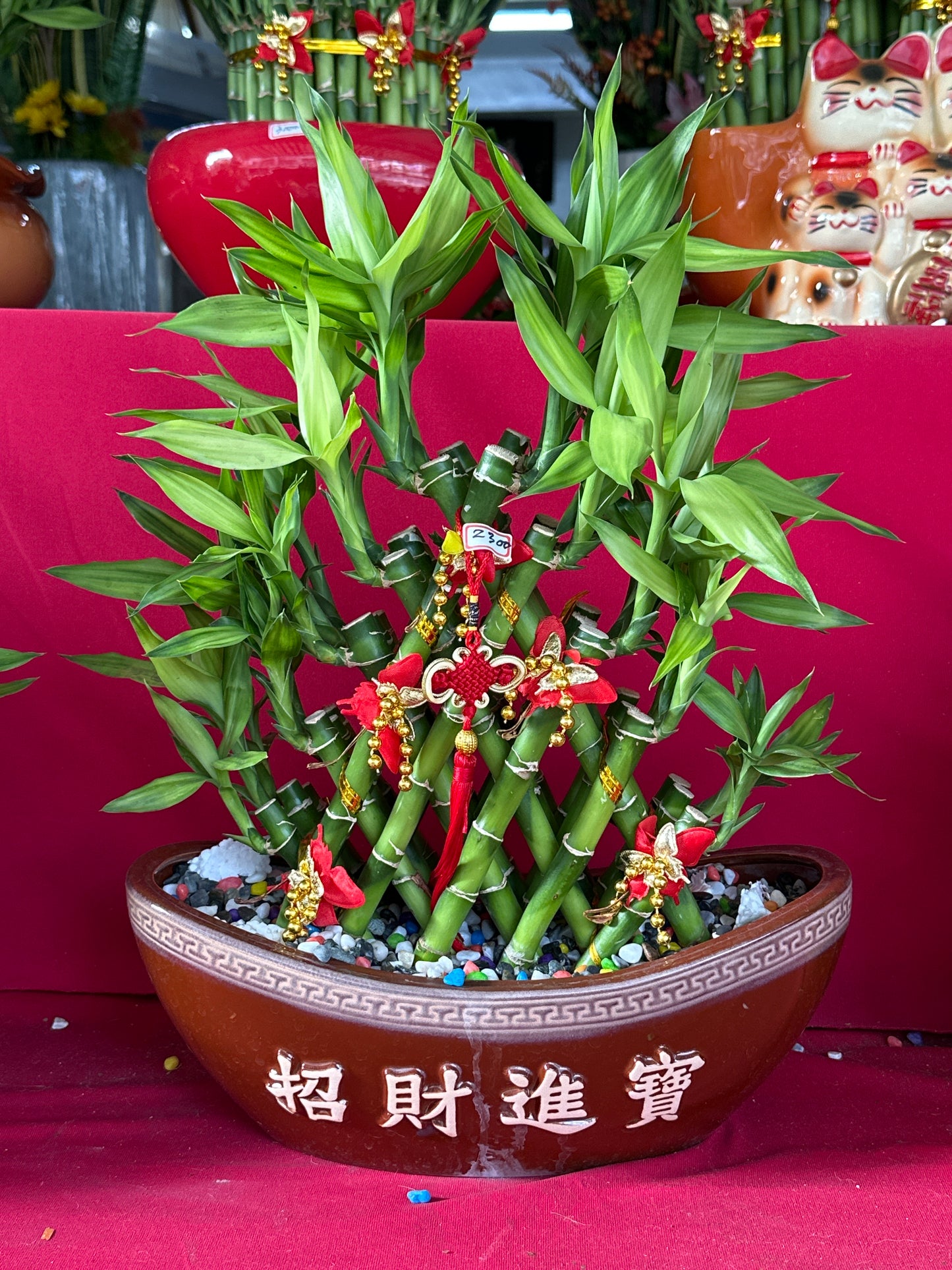 開運竹 - 中型船招財進寶