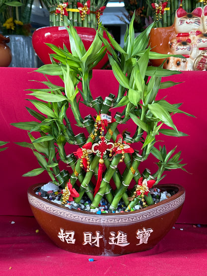 開運竹 - 中型船招財進寶