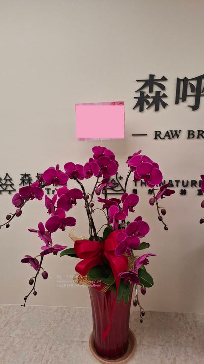 Orchid – 5 (Floor Standing, Pink)