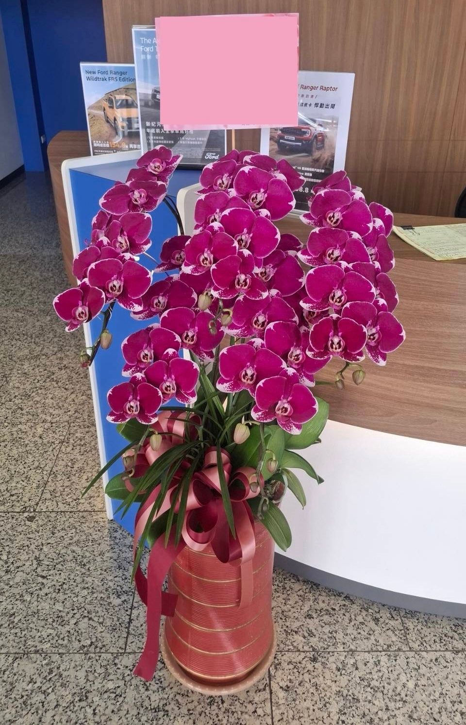 Orchid – 5 (Floor Standing, Pink)
