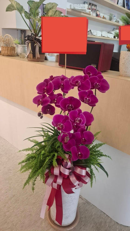 Orchid – 3 (Floor Standing, Pink)