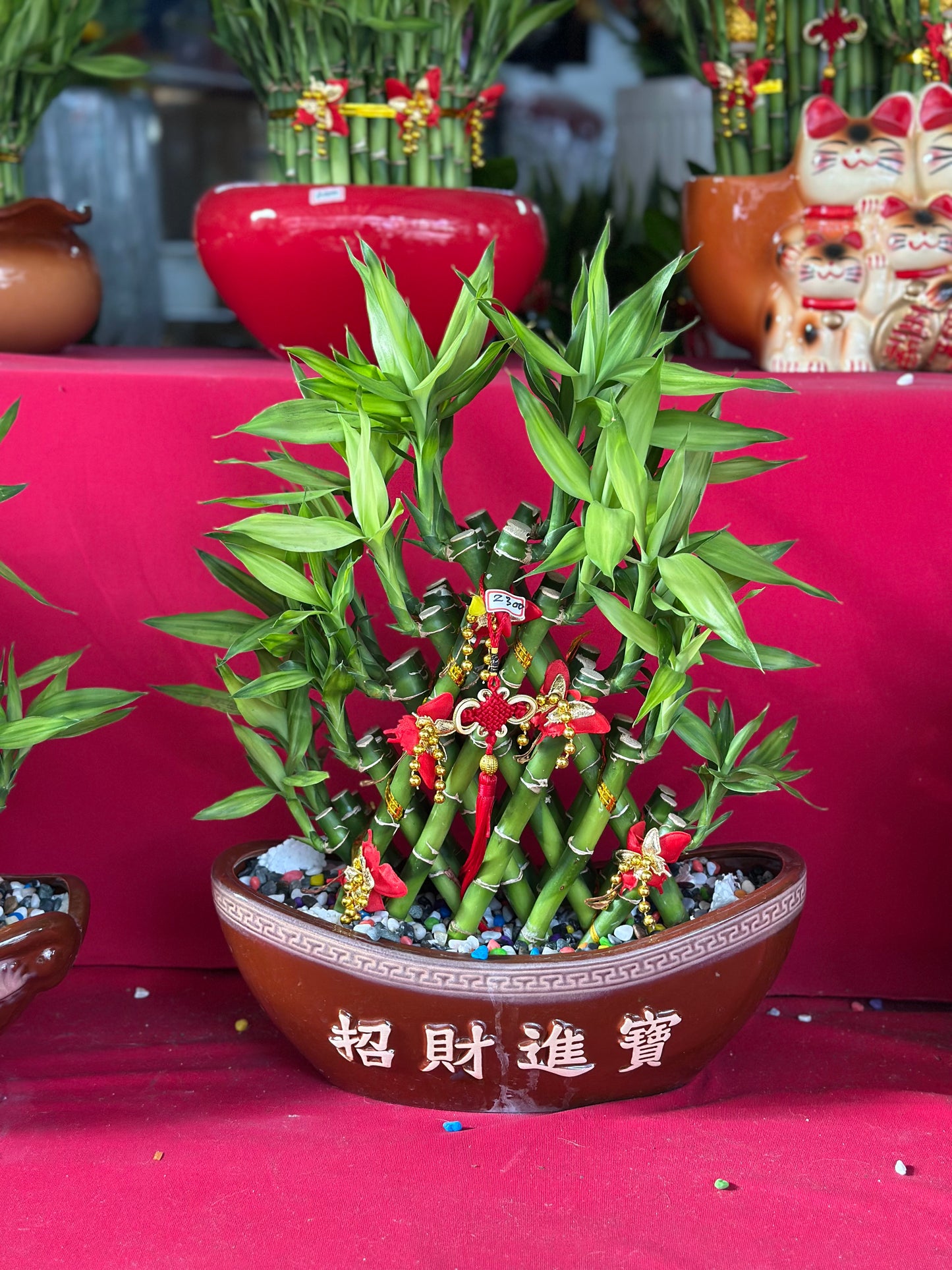 開運竹 - 中型船招財進寶