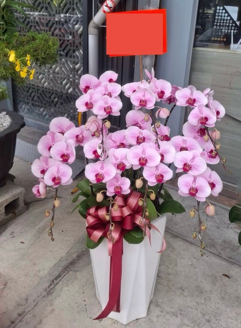 Orchid – 7 (Floor Standing, Light Pink)
