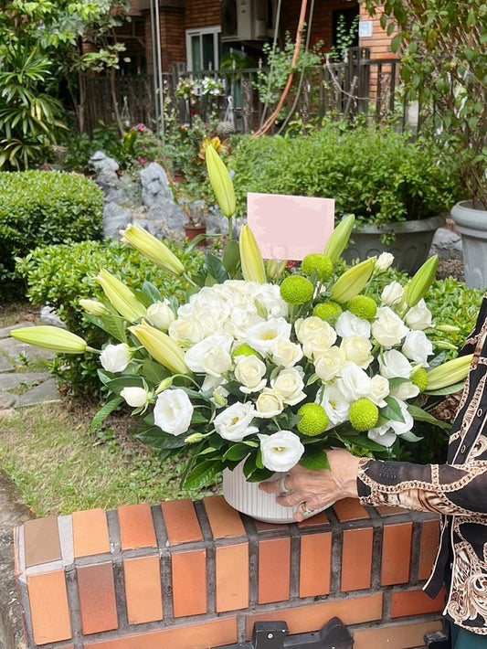 Potted Flowers – Serenity in the Clouds