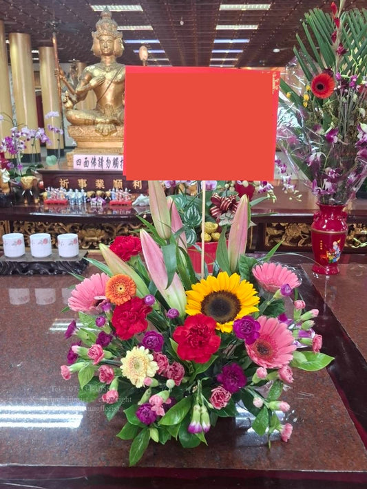 拜拜桌花 - 一盆