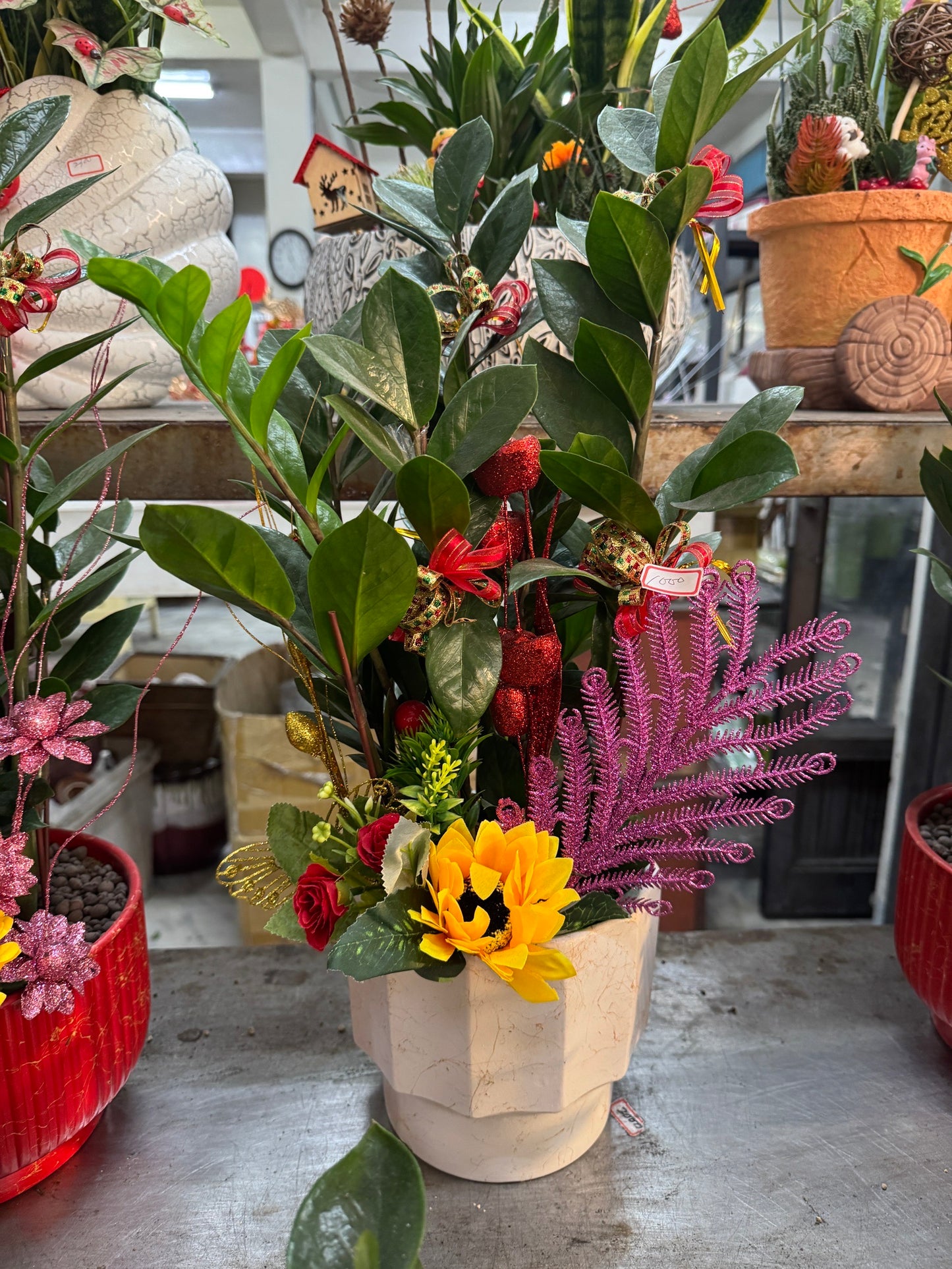 Money Tree - Mini
