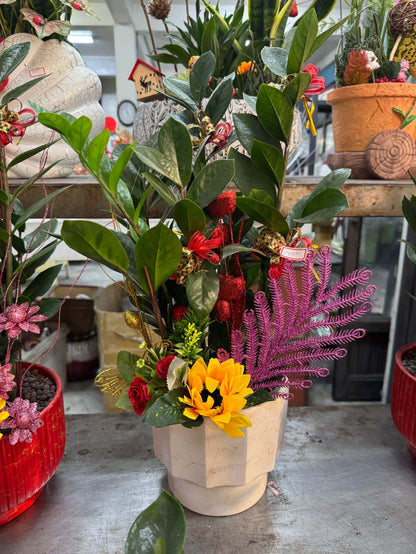 Money Tree - Mini
