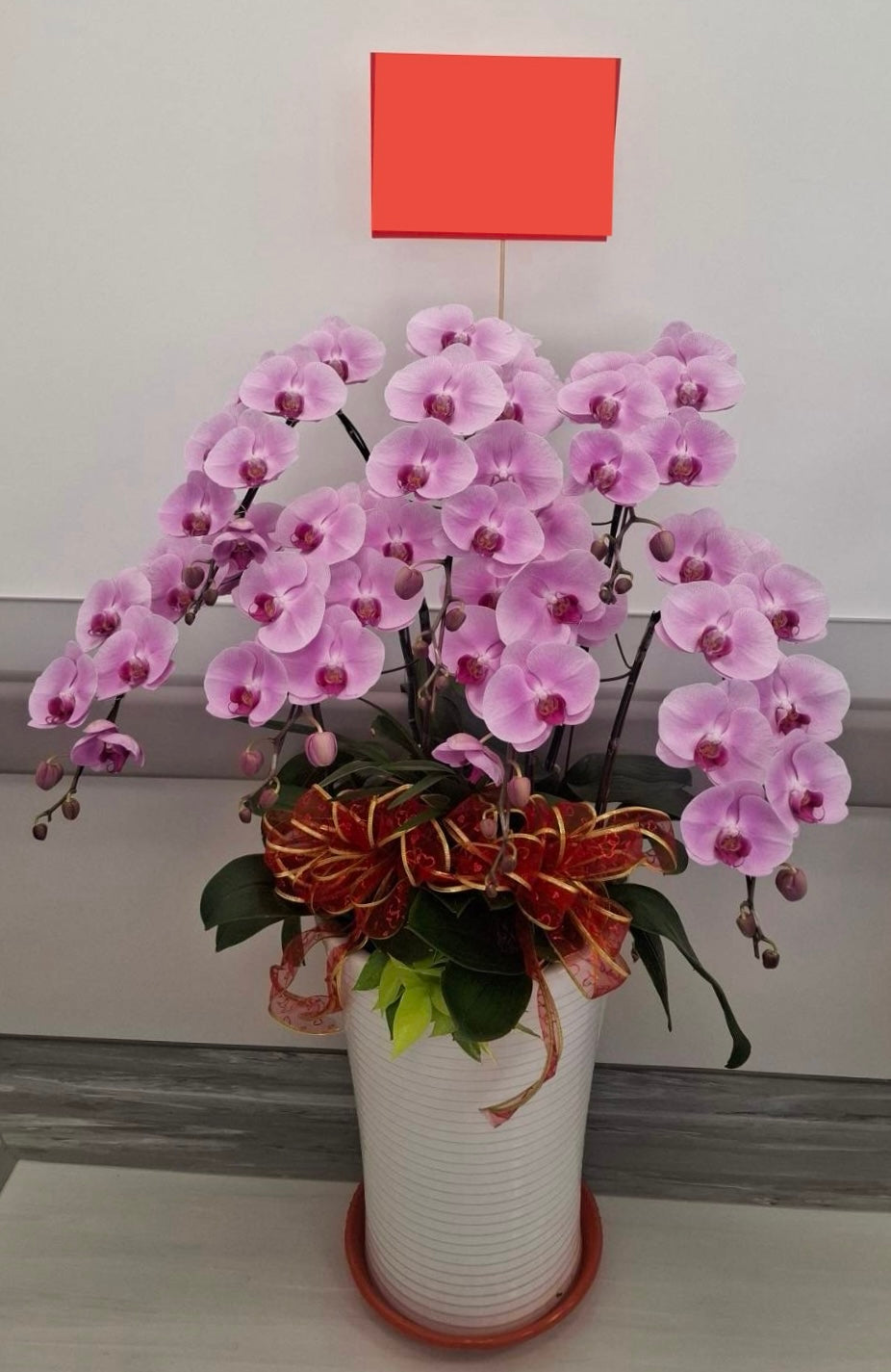 Orchid – 7 (Floor Standing, Light Pink)