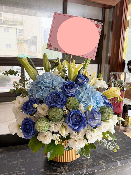 盆花 - 花語之藍