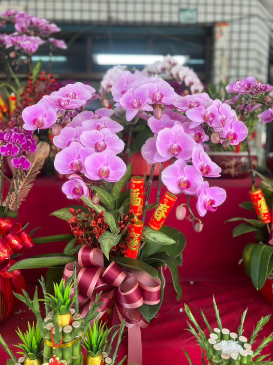 Orchid – 5 (Tabletop, Light Pink)